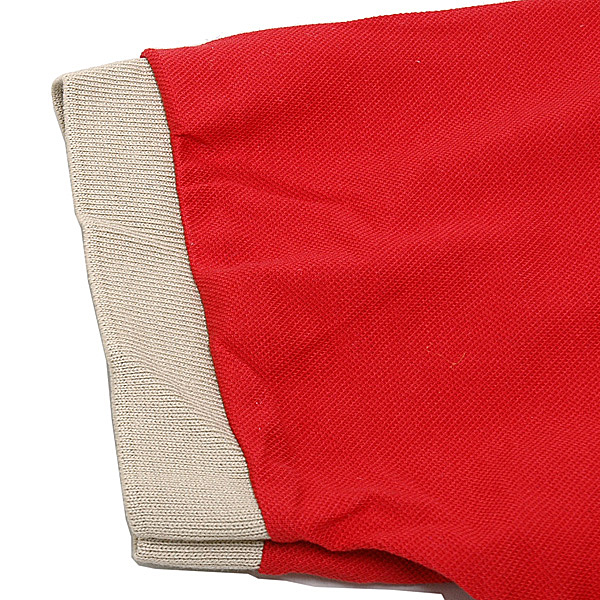 Ferrariեȥ꡼ݥ (GT/Ⱦµ)