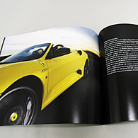 Ferrari 430 16M Scuderia Spider Catalogue Special Edition