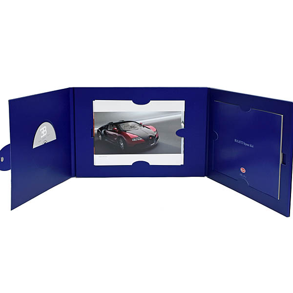 Bugatti Veyron��������