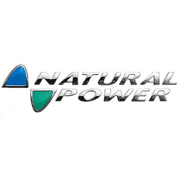 FIAT Natural Power Logo Type B