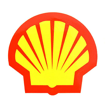 Shell Sticker(Medium)