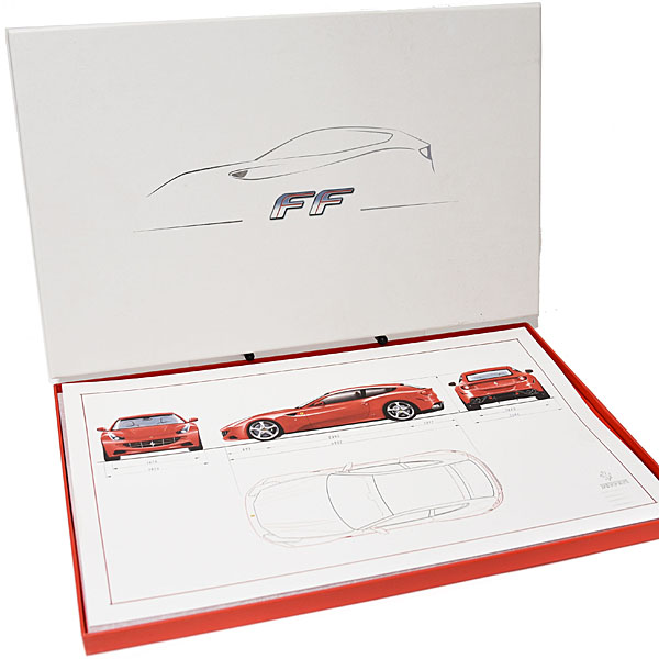 Ferrari FF illustration(for VIP Customer)