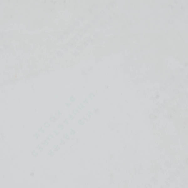 Alfa Romeo Vivace Press Photo