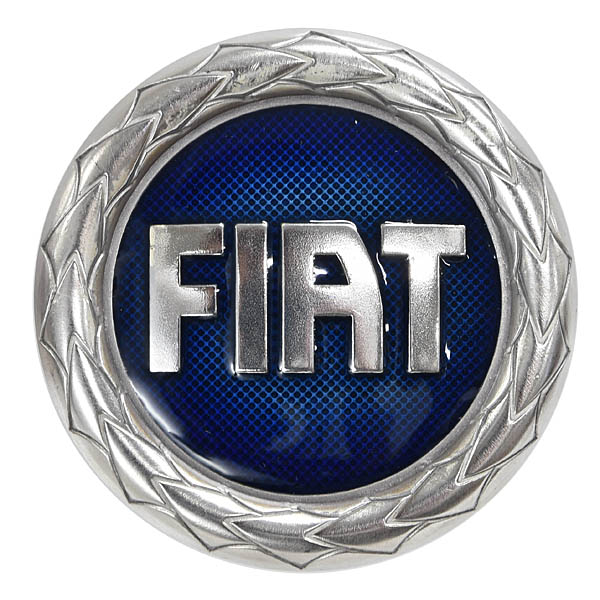 FIAT��Ω100��ǯ��ǰ�����