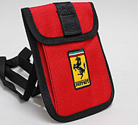Ferrari�������⡼��ݡ���