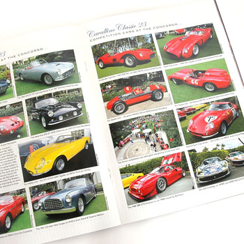 CAVALLINO APRIL-MAY 2014