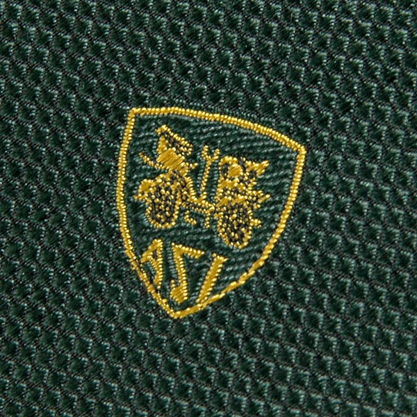 ASI Official Neck Tie-Green-