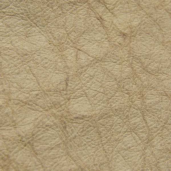 1000 MIGLIA Official Wallet(Beige)