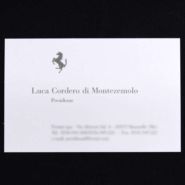 Luca montezemoro Business Card