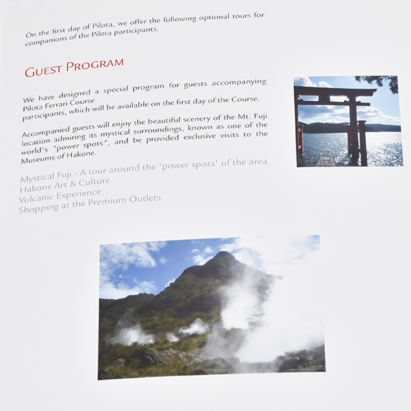 PILOTA FERRARI JAPAN Leaflet-2009-