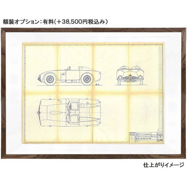 Alfa Romeo 6C 3000 CM Spider 1953 Blue Drawing Print