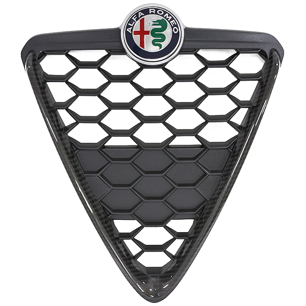 Mediate Examen album Postnummer Alfa Romeo Genuine Giulietta Front Grill Insert (Carbon Look) : Italian  Auto Parts & Gadgets Store