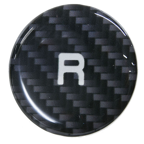 ABARTH MTA Carbon Switch Decal 