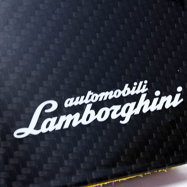 Lamborghini Genuine Diablo Interior Leather Sample