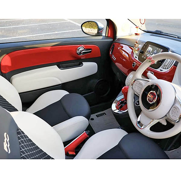 Door Panel Plate for FIAT500 / ABARTH595 by Maestro (Various Body Colors)