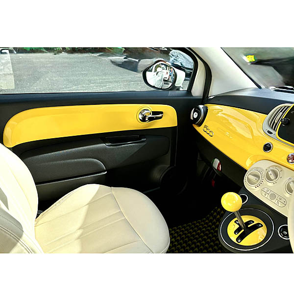 Door Panel Plate for FIAT500 / ABARTH595 by Maestro (Various Body Colors)