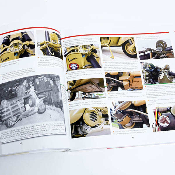 Vespa Illustrated Guide to the Identification 