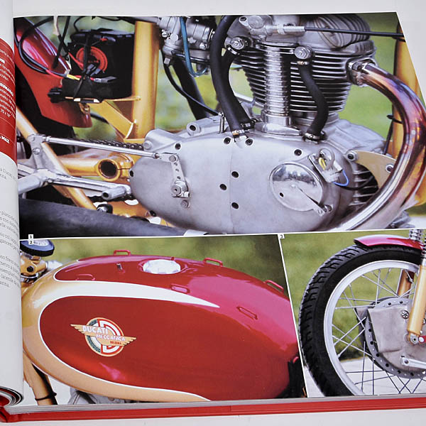 DUCATI��ˤ������ǥ뤿�� ����