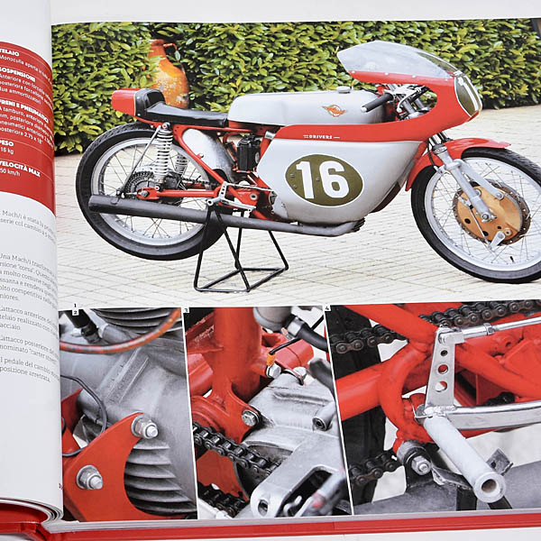 DUCATI��ˤ������ǥ뤿�� ����